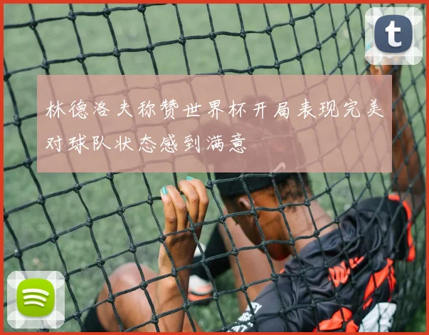 林德洛夫称赞世界杯开局表现完美对球队状态感到满意